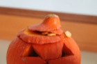 img-11